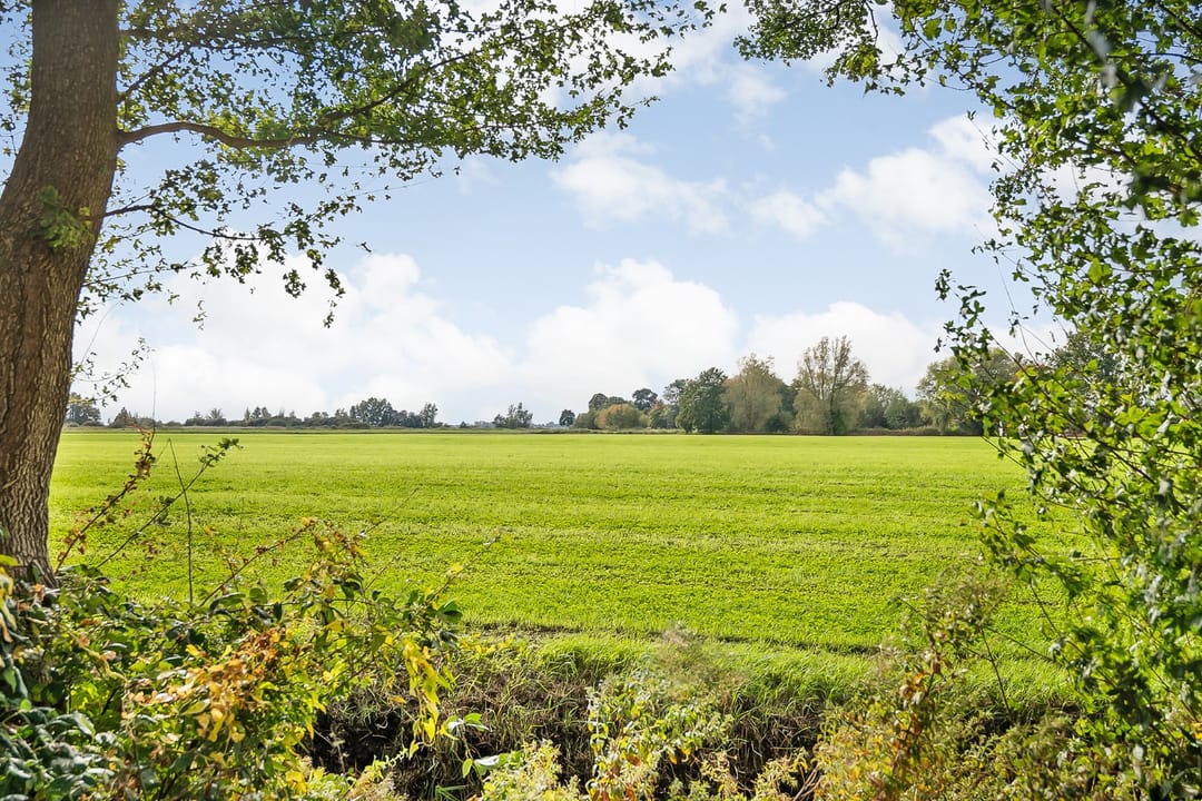 Photo 62 of Kikkerij 1