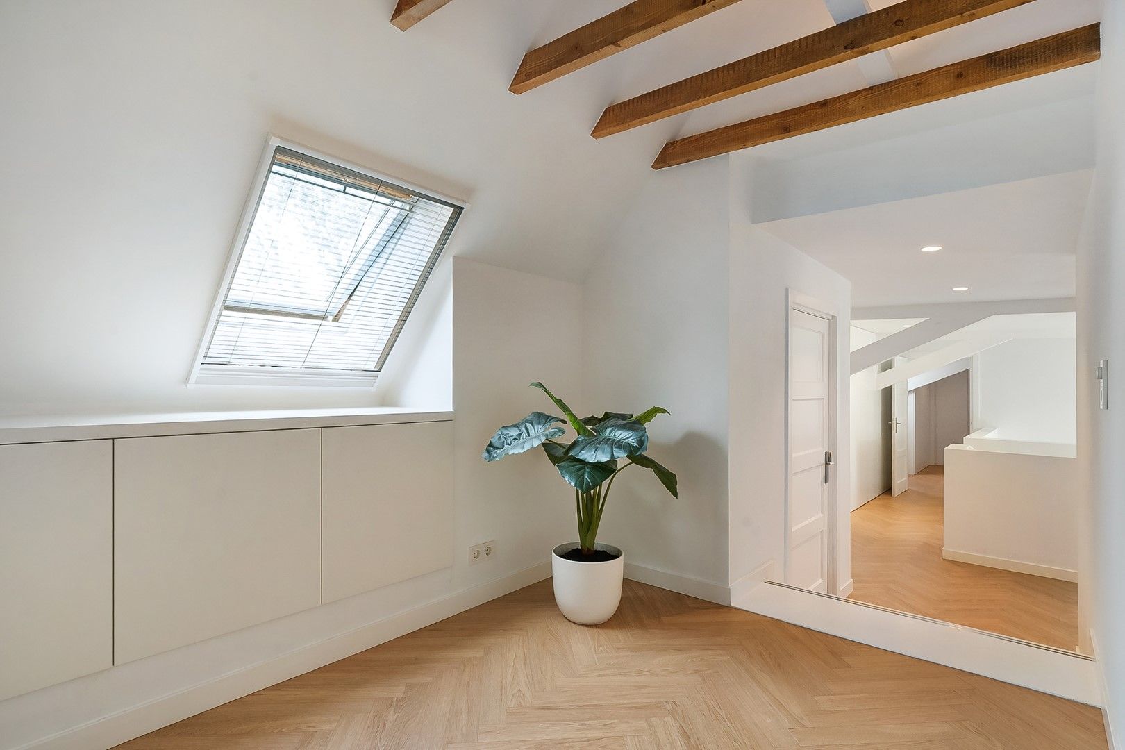 Photo 48 of Kikkerij 1