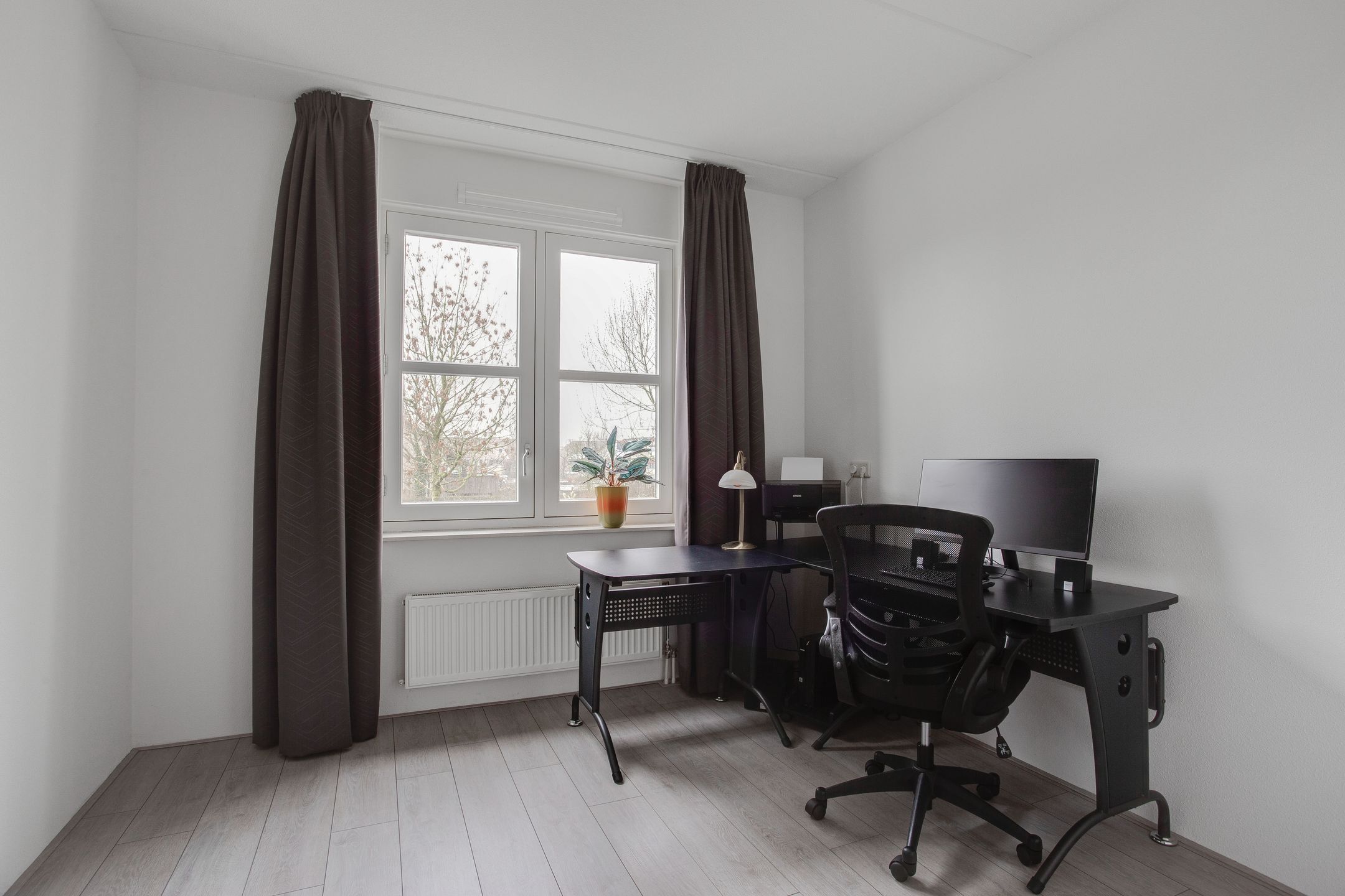 Photo 30 of Vogelwikke 16