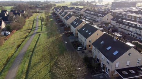 Vogelwikke 16 tertiary image