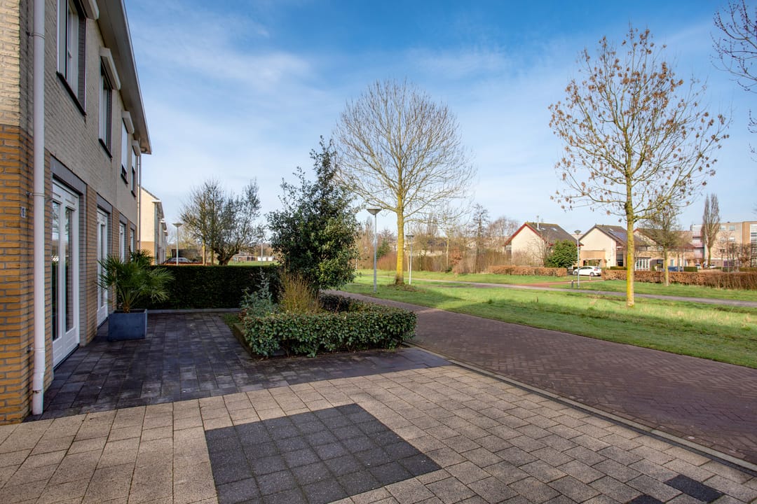 Photo 56 of Vogelwikke 16