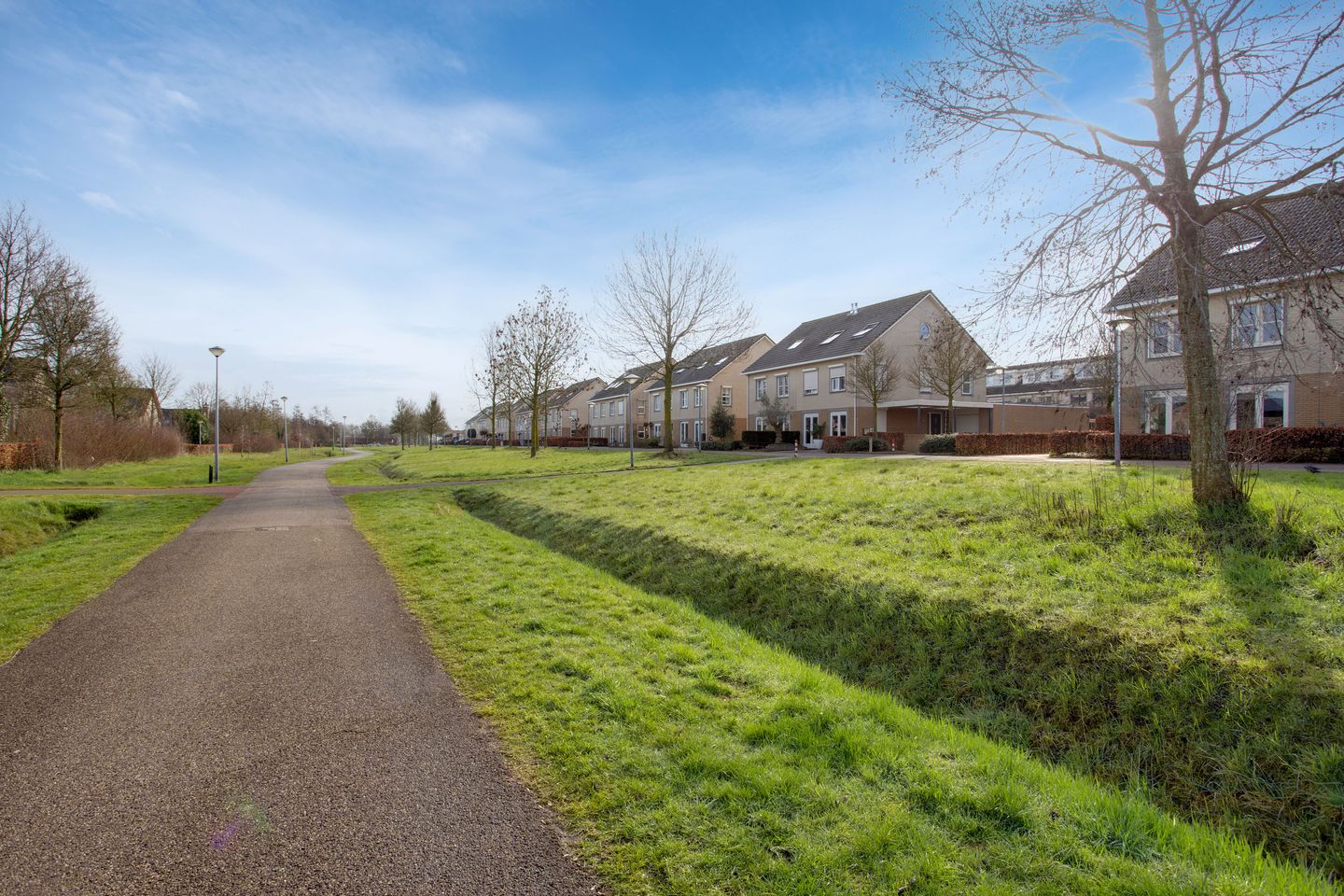 Photo 59 of Vogelwikke 16