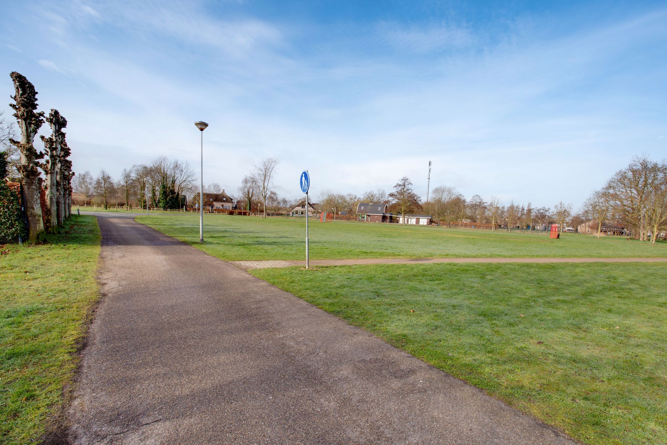 Photo 60 of Vogelwikke 16