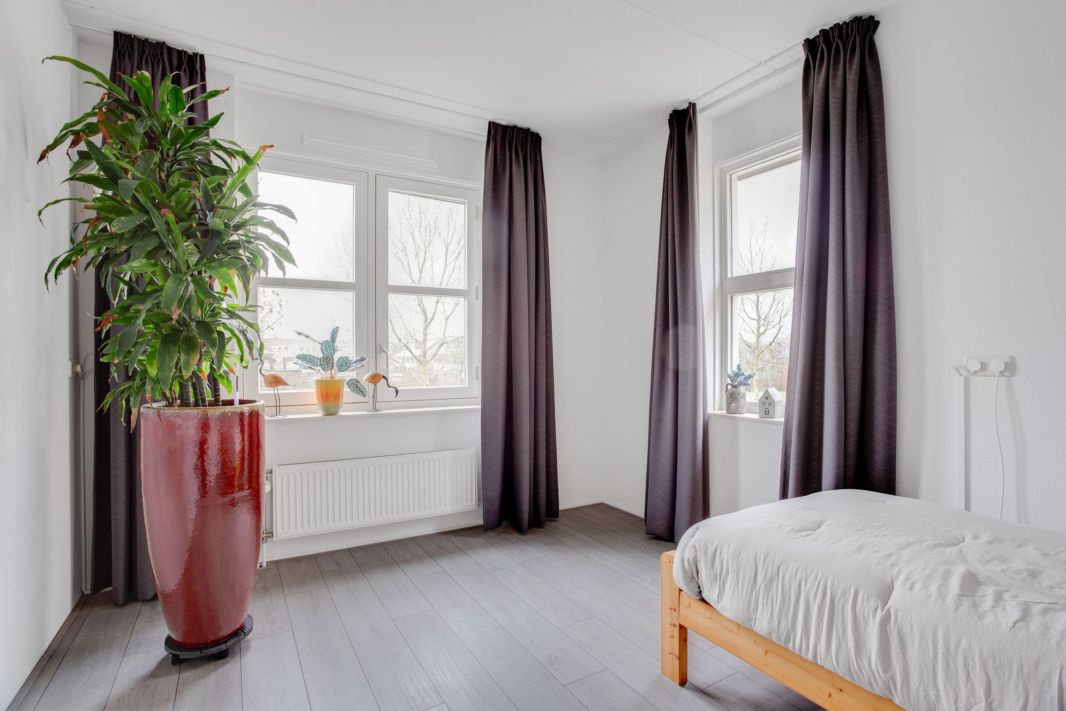 Photo 33 of Vogelwikke 16