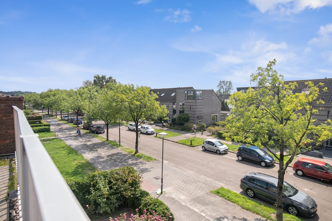 Foto 32 van Zuidsingel 113