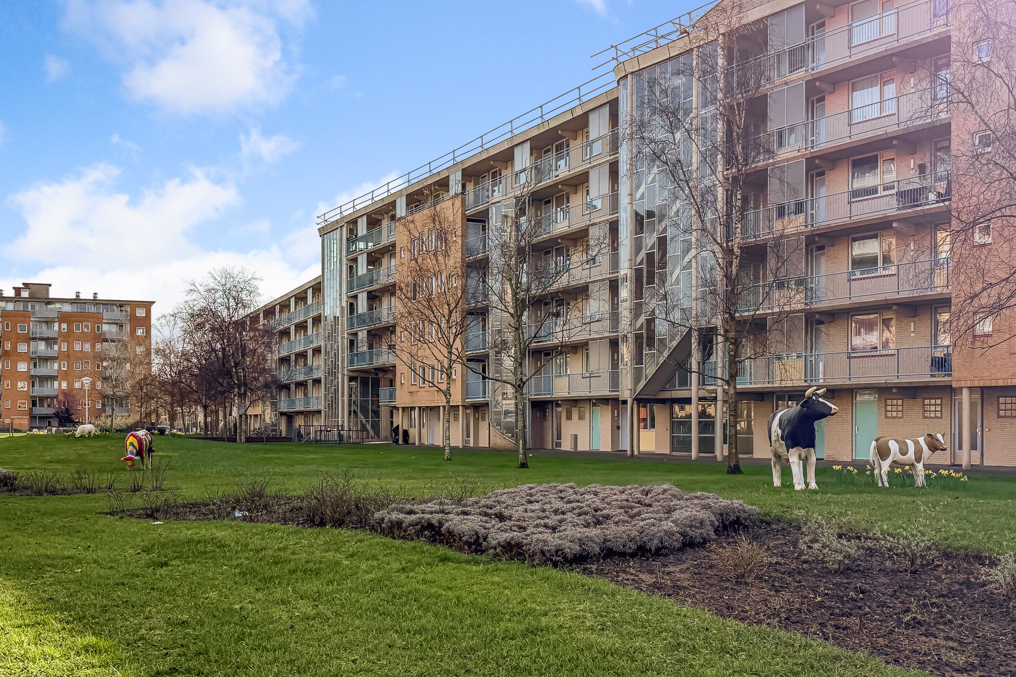 Photo 24 of Belgiëplein 58