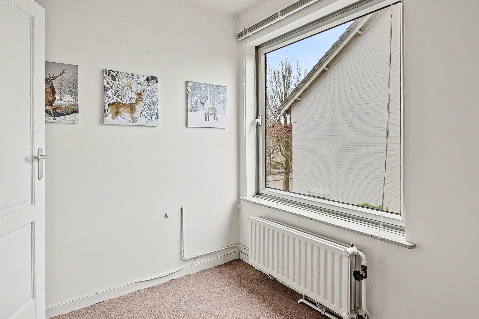 Photo 18 of Pastoor Rijnderslaan 6