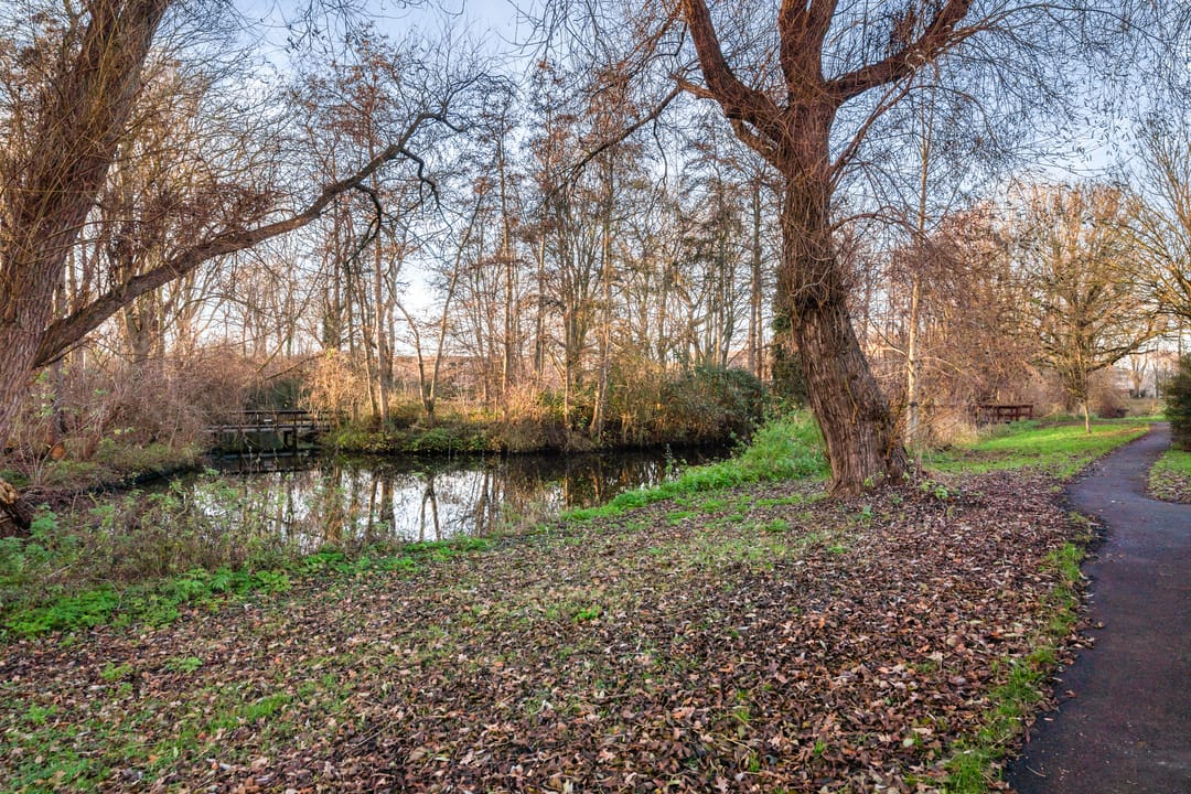 Foto 32 van Dr. L.J. Rogierstraat 39