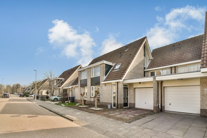 Foto 2 van Klaverruiter 6