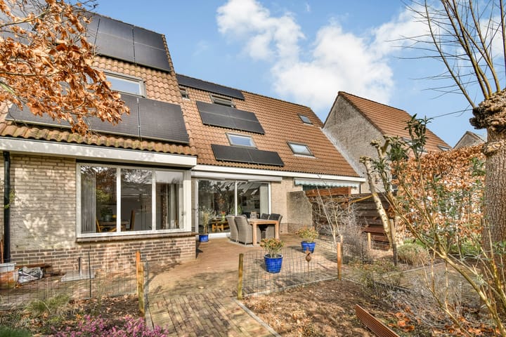 Klaverruiter 6