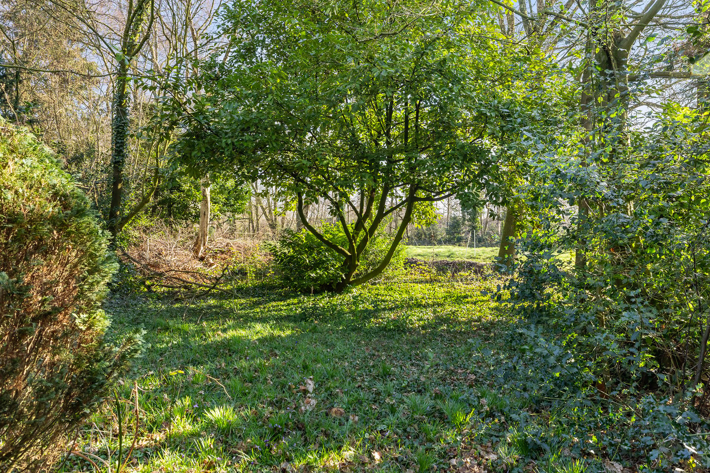 Charming 1950s Semi-Detached Home with Expansive Garden and Sauna — 20