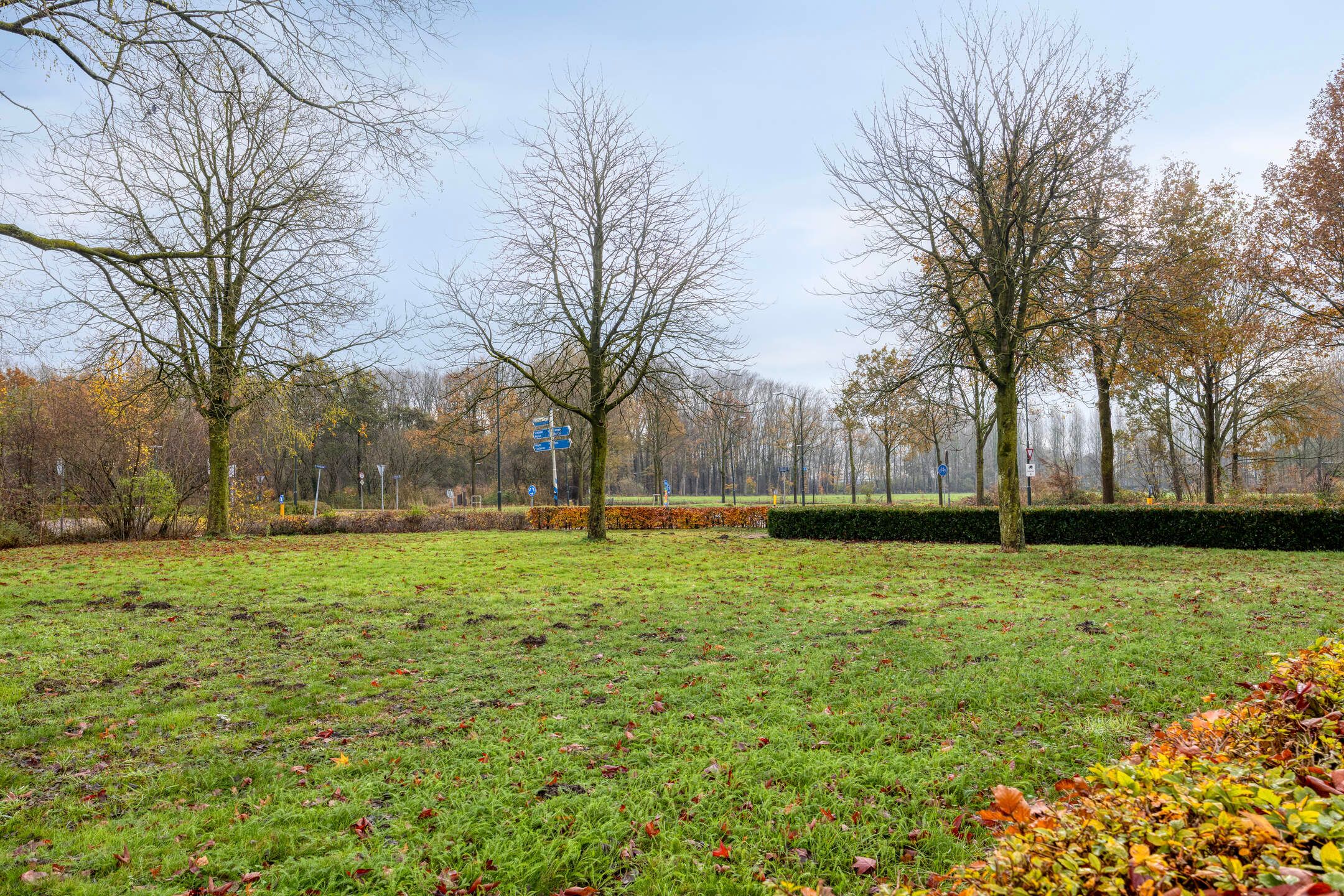 Foto 60 van Nachtegaal 31