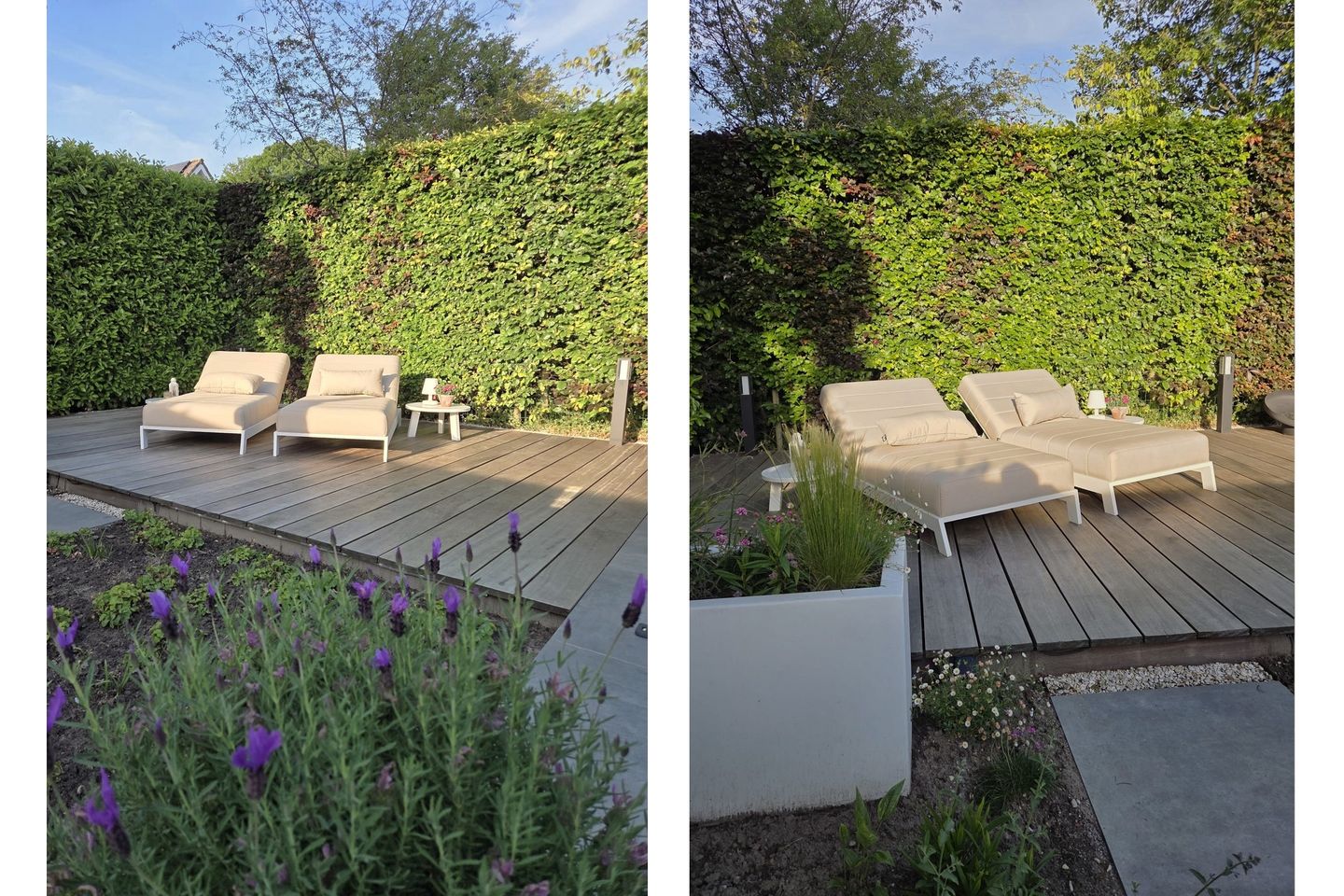 Foto 55 van Nachtegaal 31