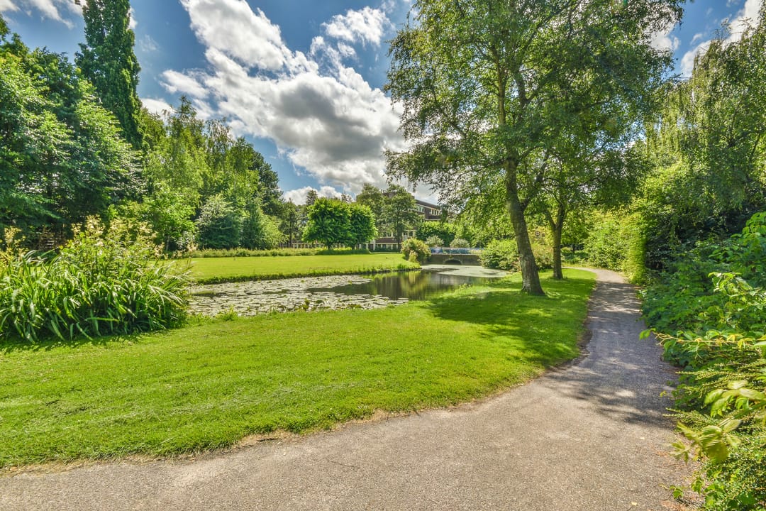 Foto 28 van Frans Halslaan 30