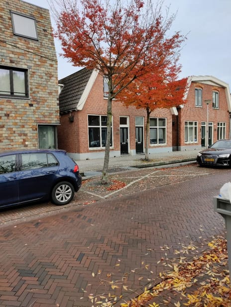 undefined main image
