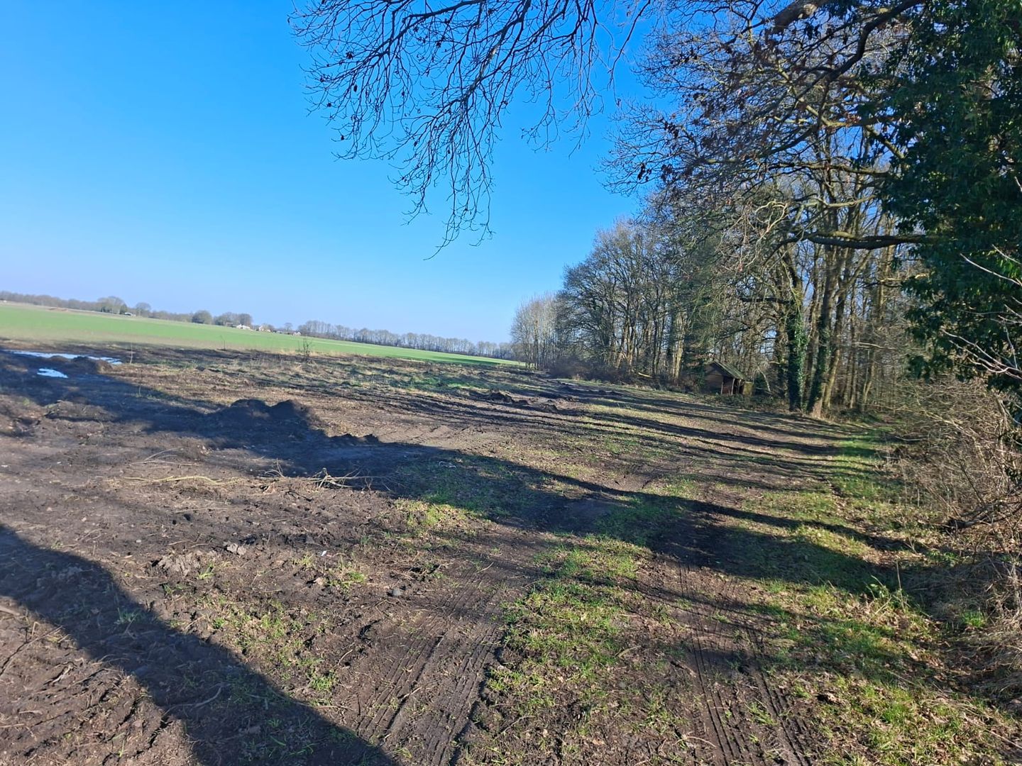 Bekijk foto 4 van Eexterweg