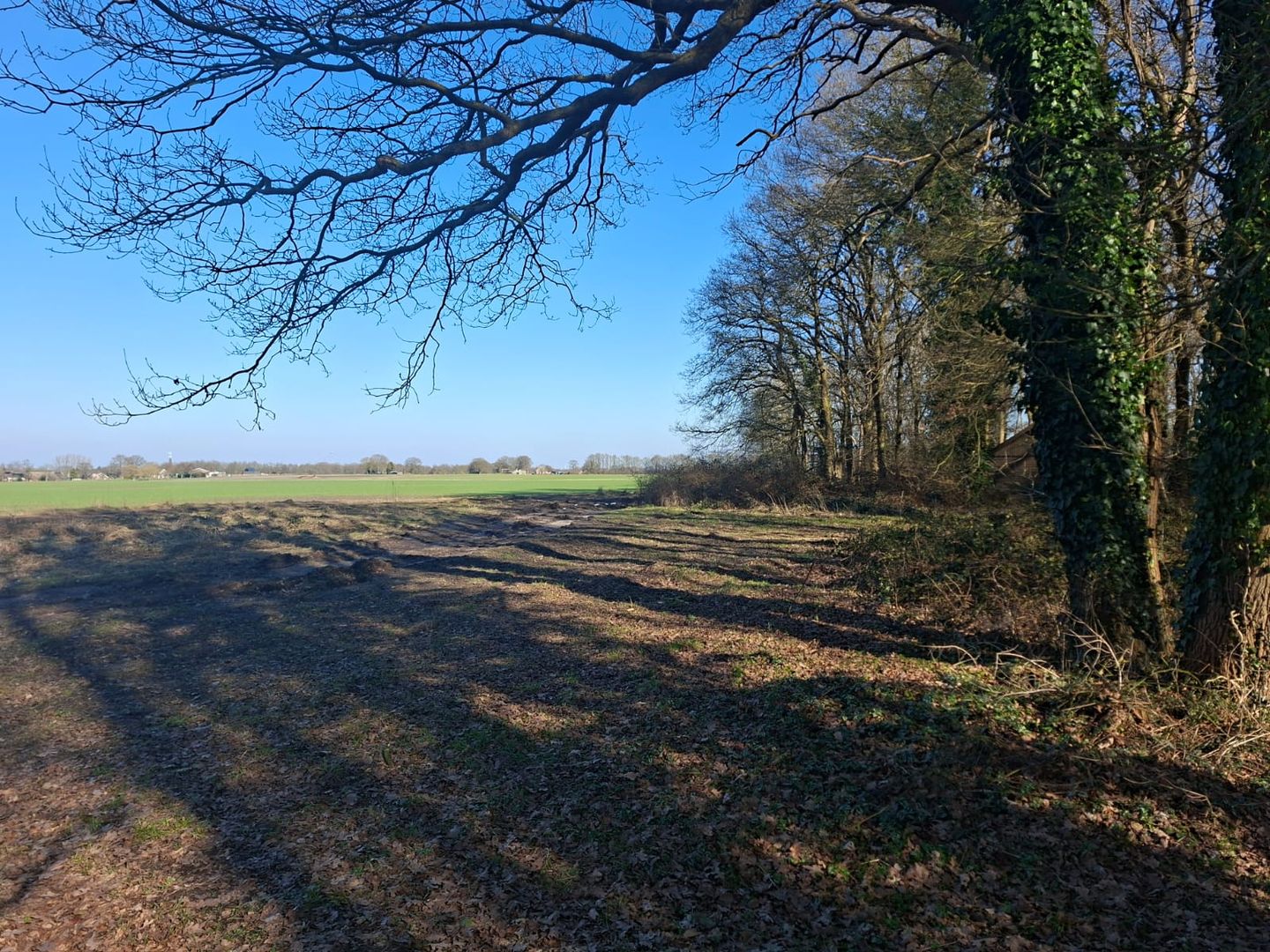 Bekijk foto 5 van Eexterweg