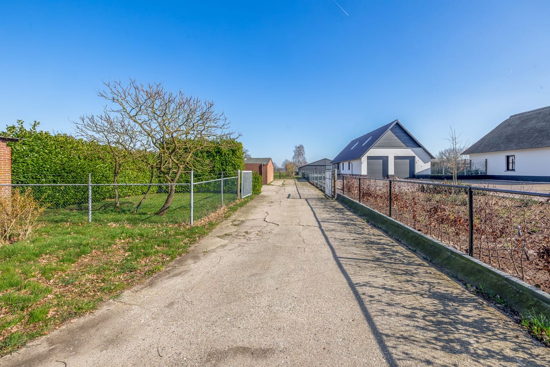 Photo 22 of Lieshoutsedijk 11