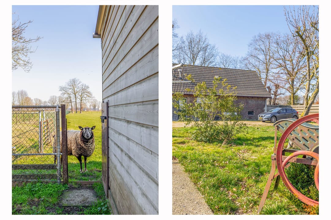 Photo 23 of Lieshoutsedijk 11