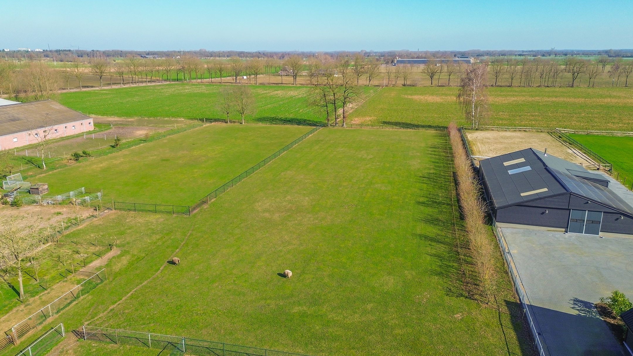 Photo 24 of Lieshoutsedijk 11