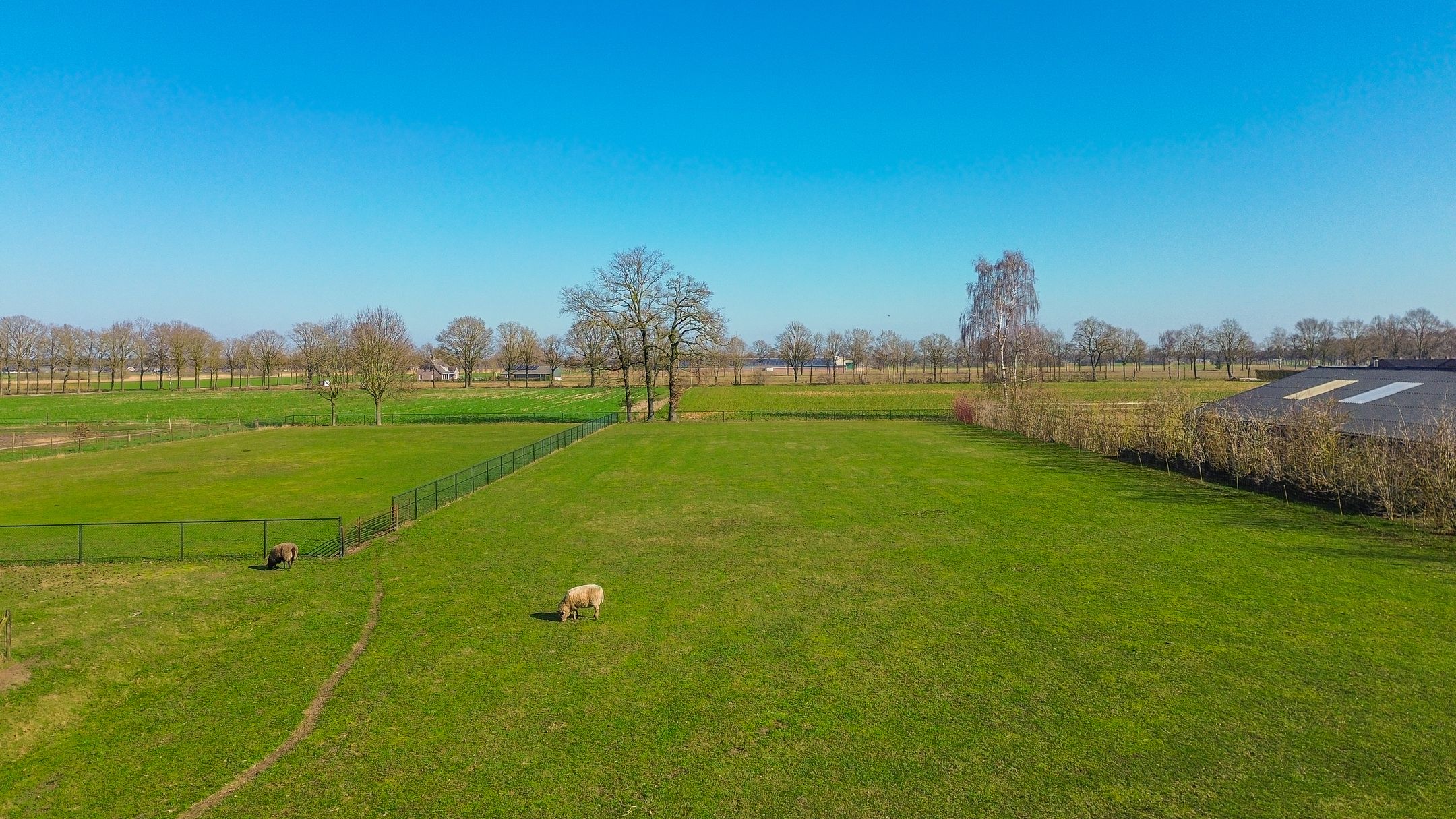 Photo 27 of Lieshoutsedijk 11