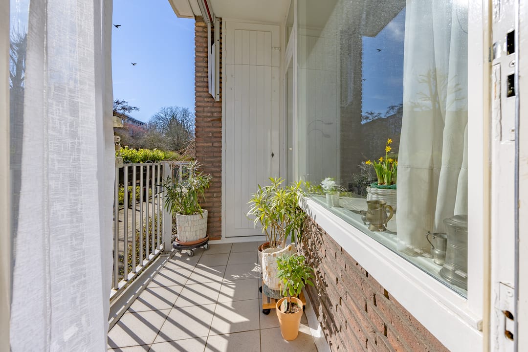 Photo 11 of Burgemeester Elsenlaan 2