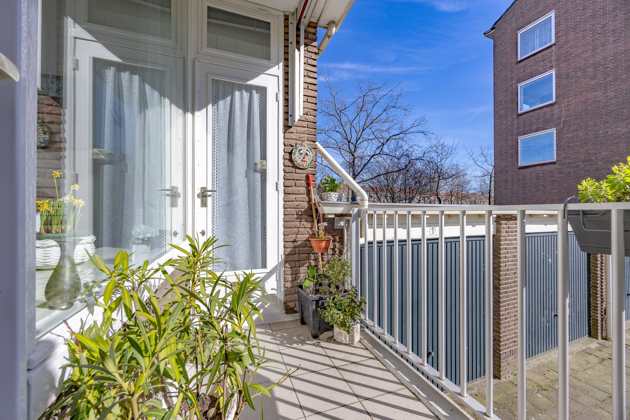 Photo 12 of Burgemeester Elsenlaan 2