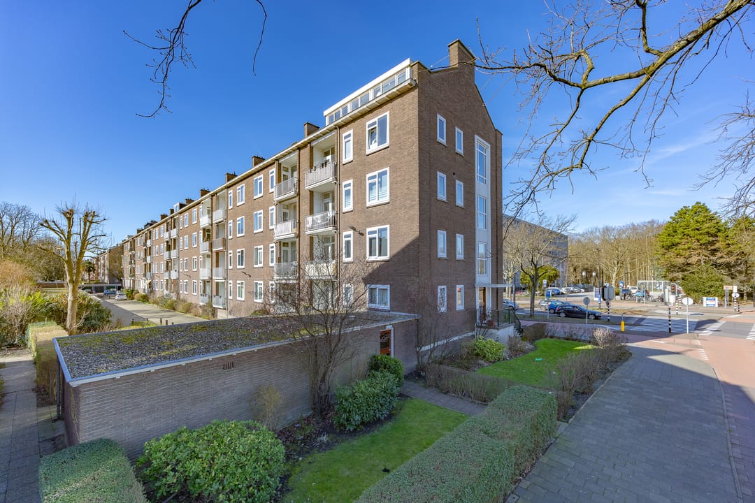 Photo 28 of Burgemeester Elsenlaan 2