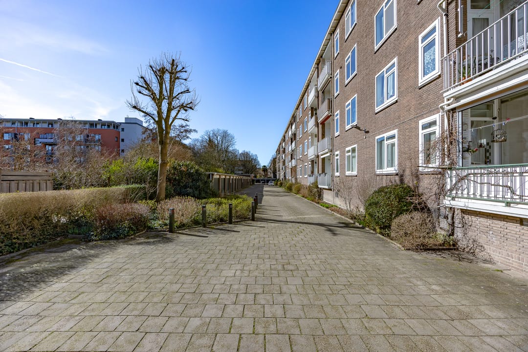 Photo 32 of Burgemeester Elsenlaan 2