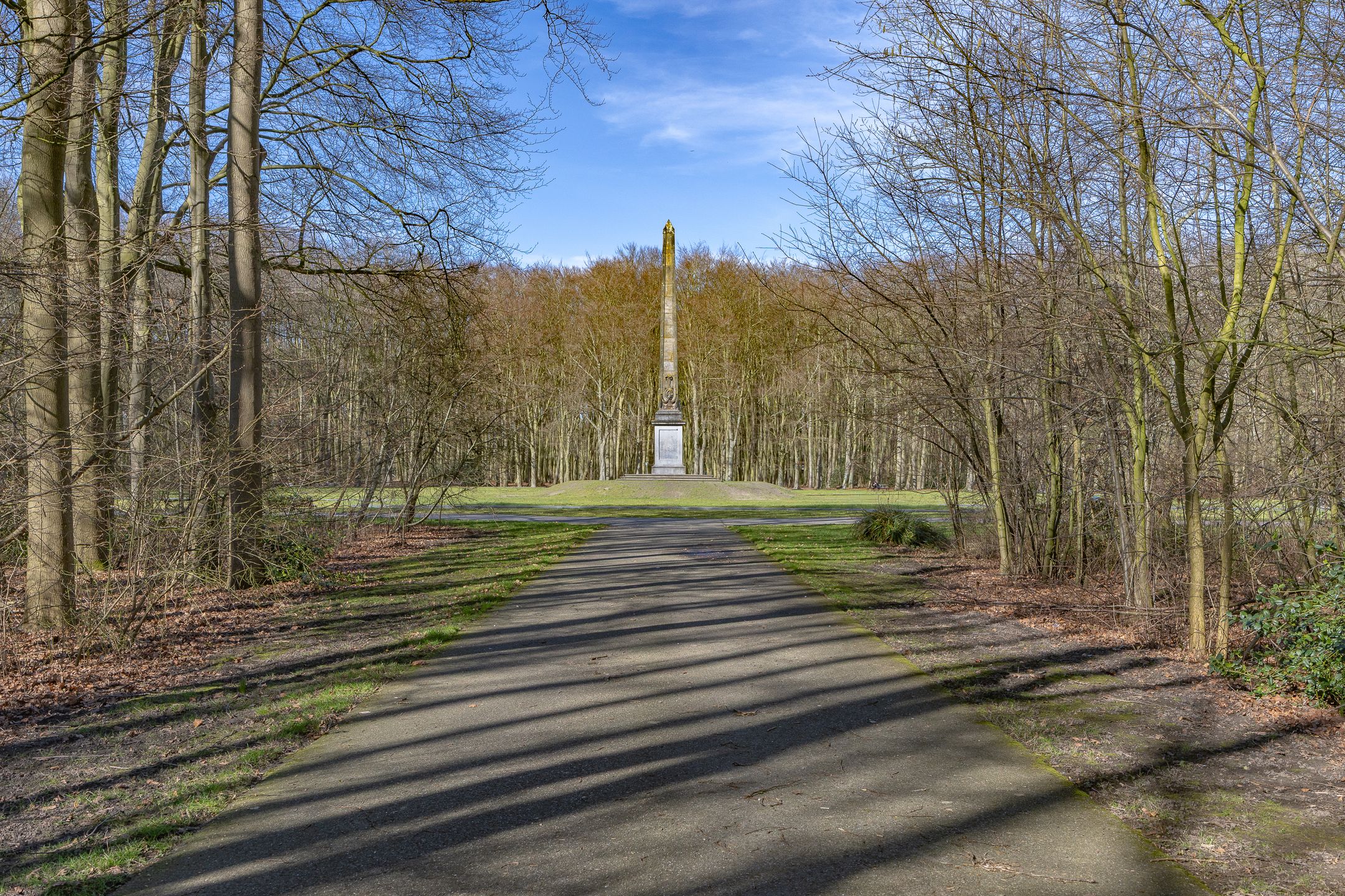 Photo 39 of Burgemeester Elsenlaan 2