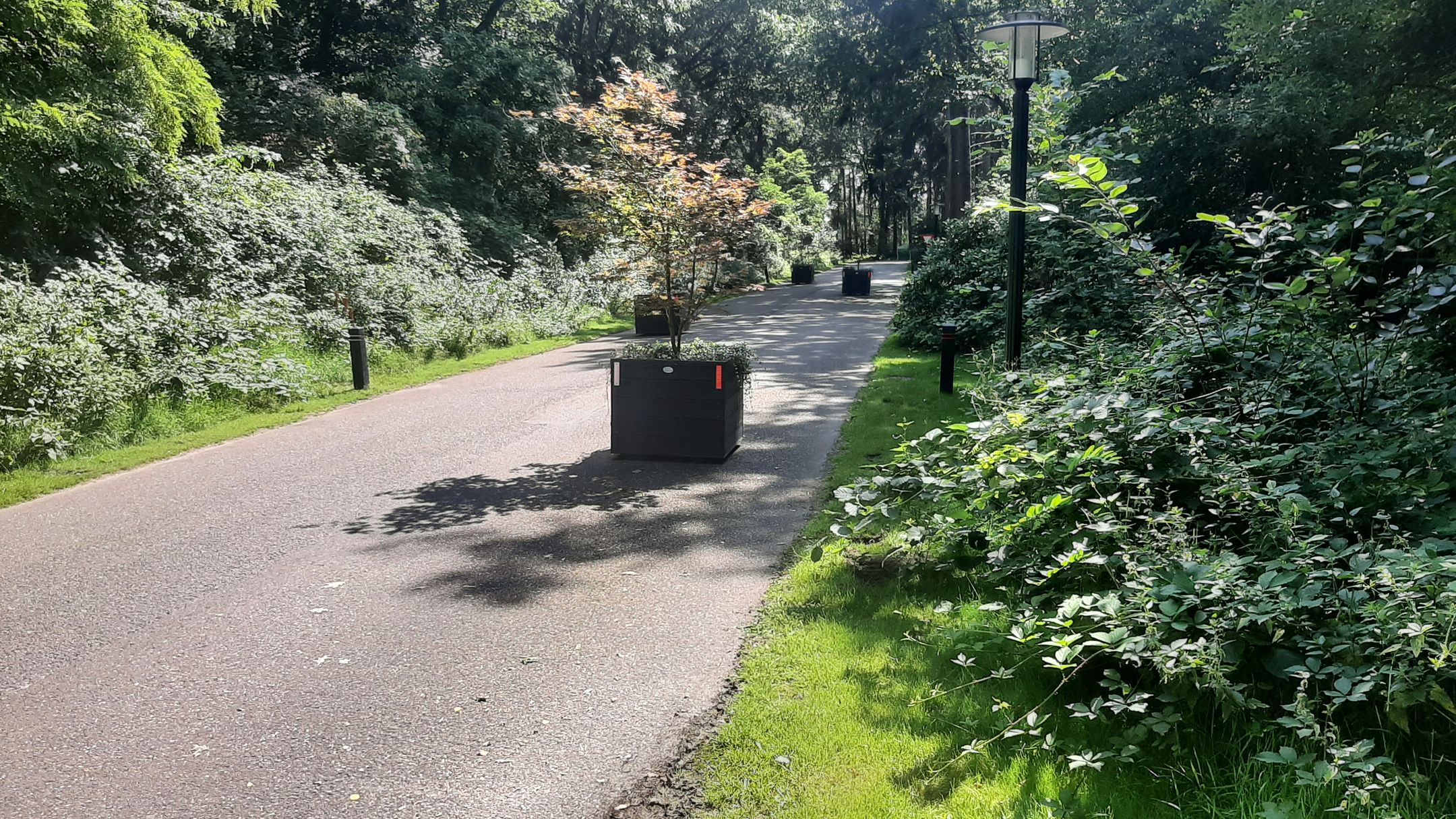 Foto 21 van Korhoen 49