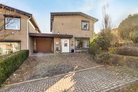 undefined main image