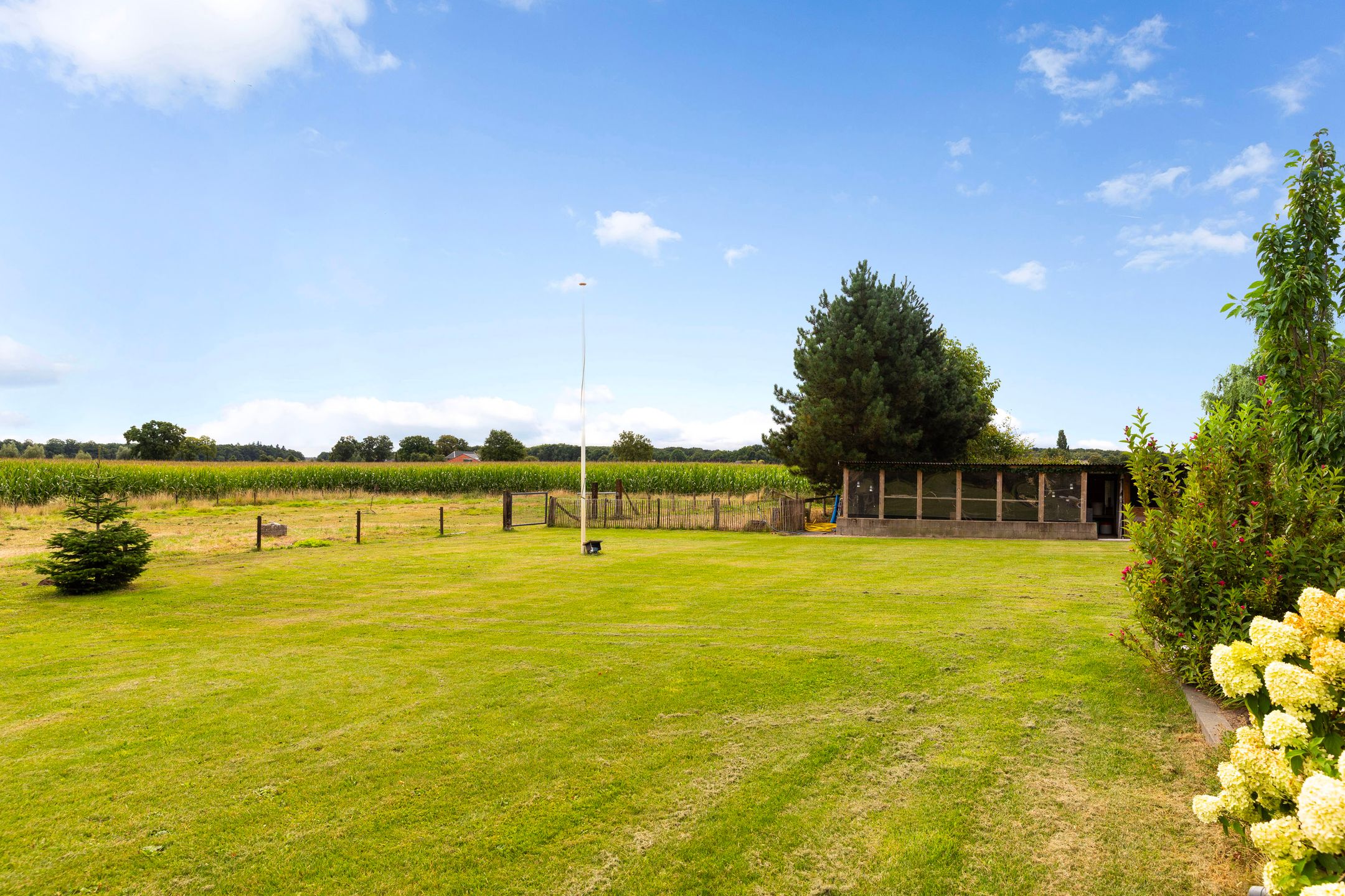 Photo 6 of Zomerweg 60