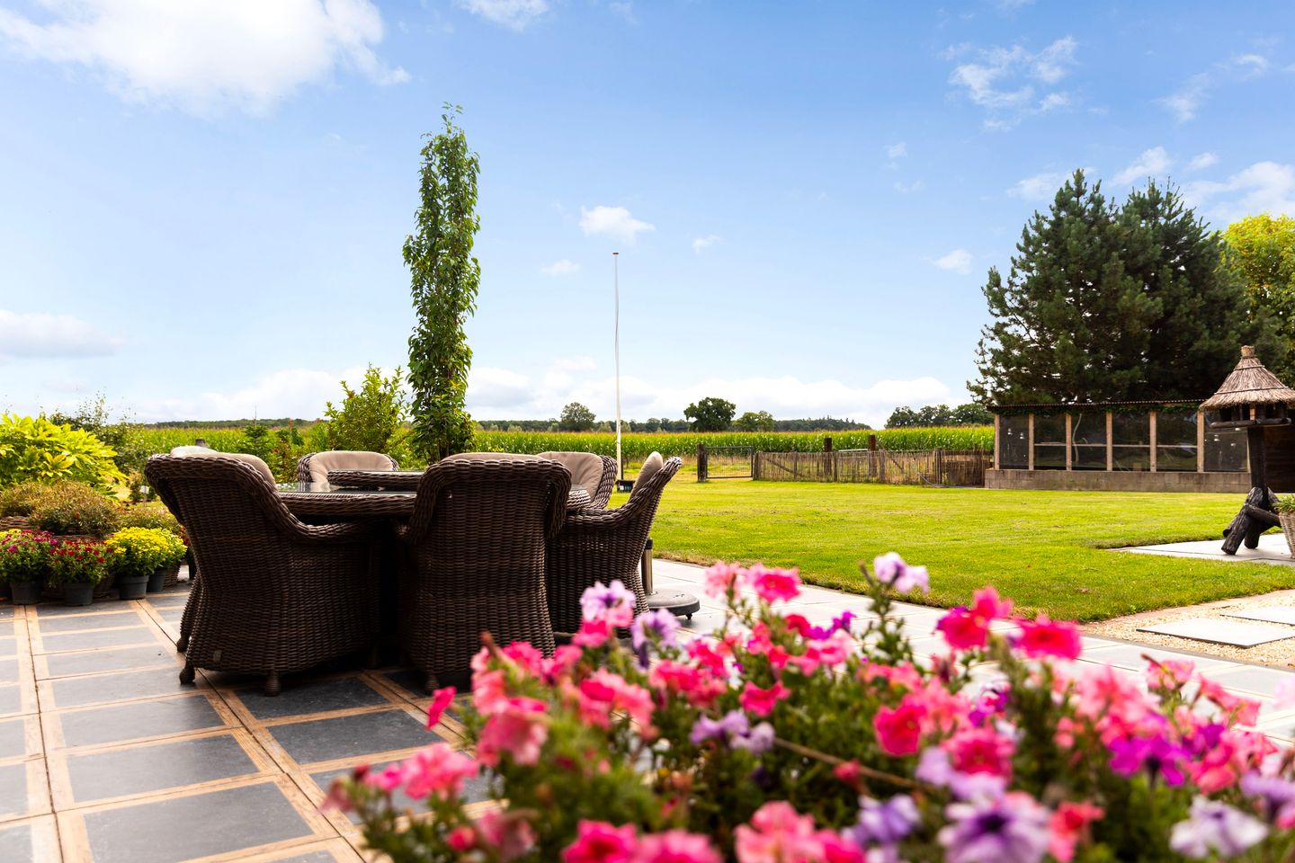 Photo 10 of Zomerweg 60