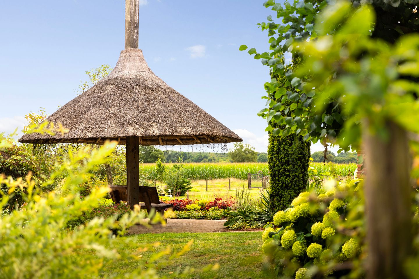 Photo 55 of Zomerweg 60