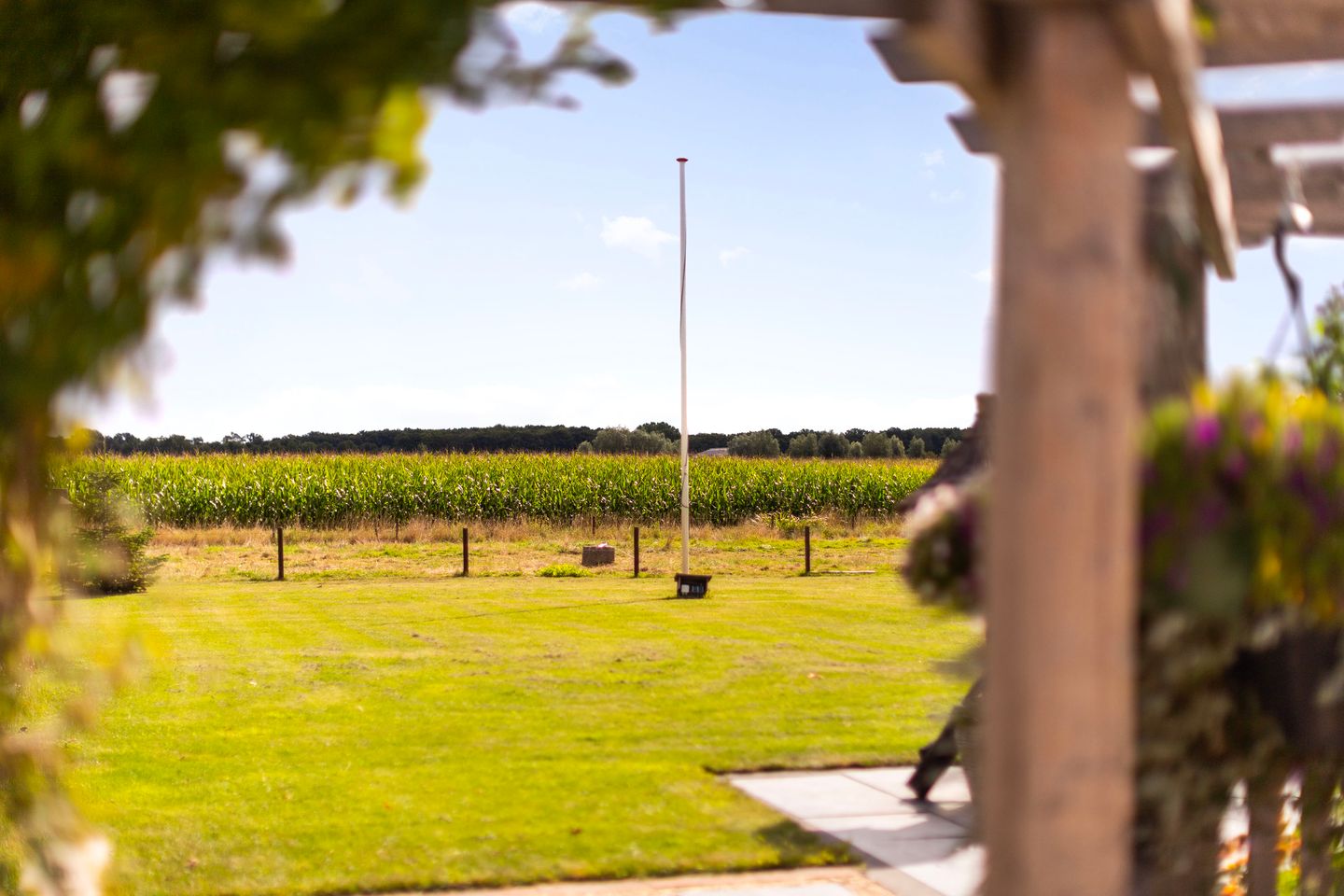 Photo 59 of Zomerweg 60