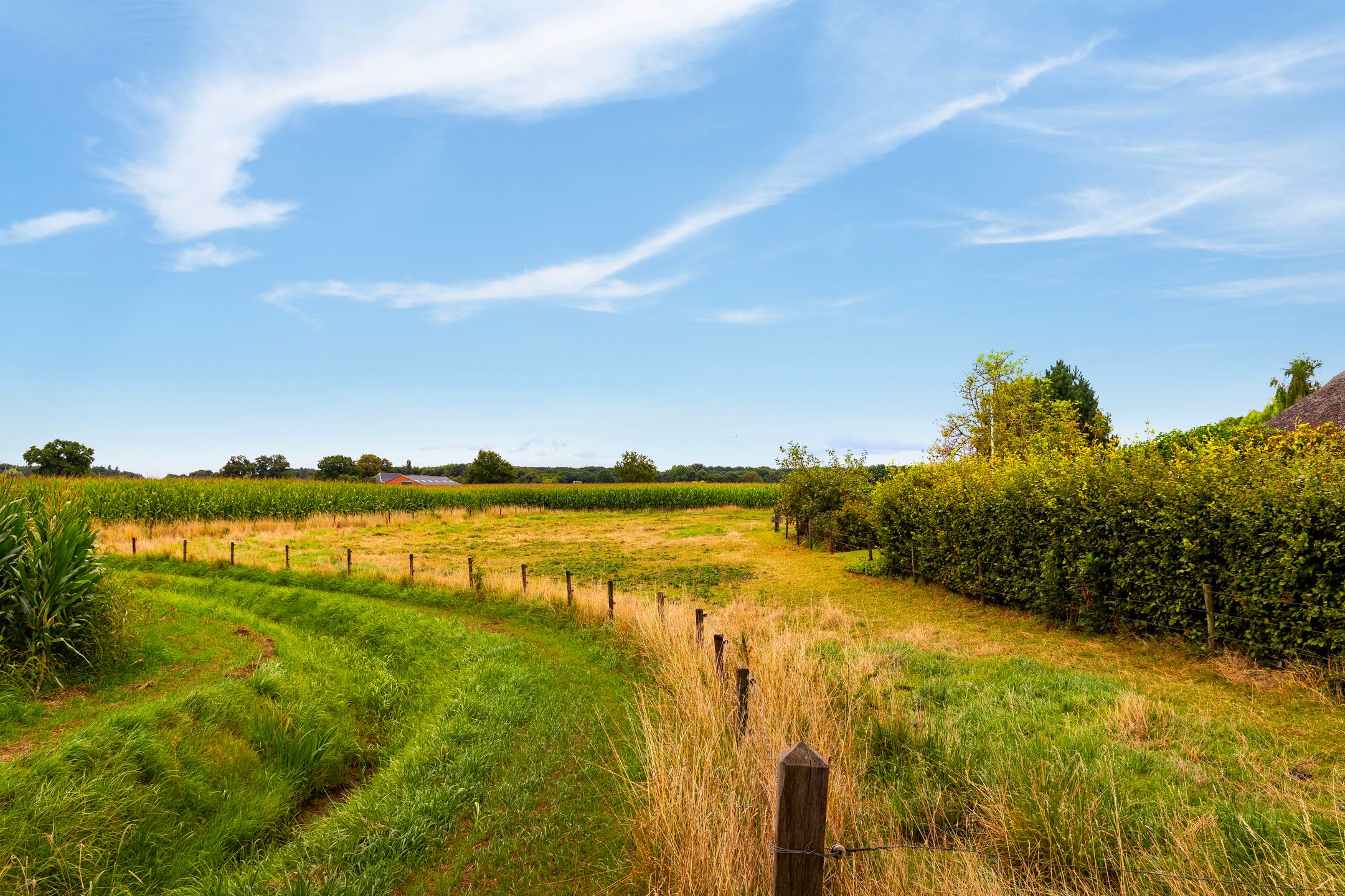 Photo 63 of Zomerweg 60