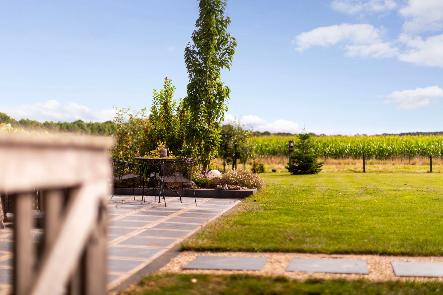 Photo 64 of Zomerweg 60