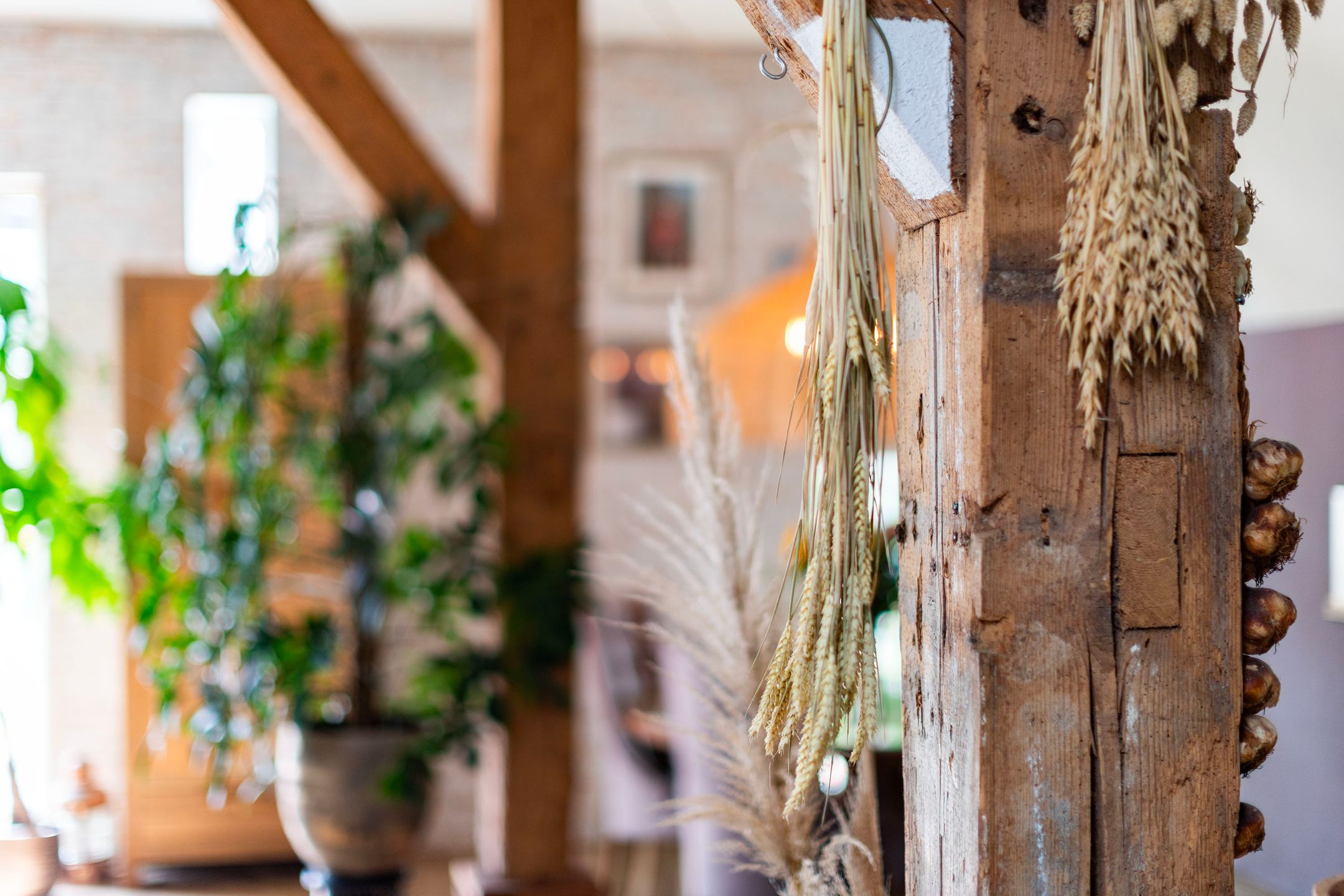 Photo 27 of Zomerweg 60