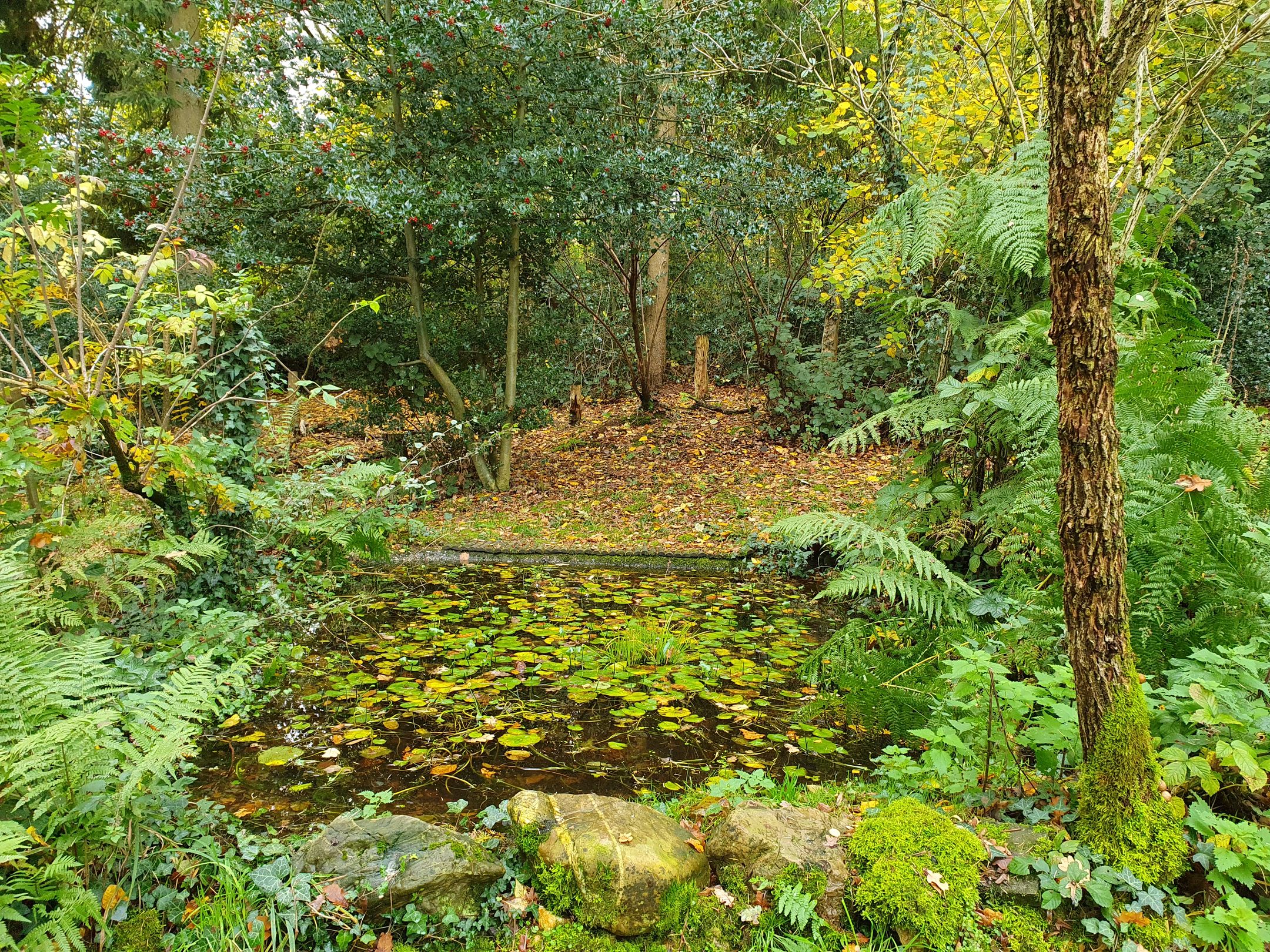 Foto 6 van Dal Bissenweg