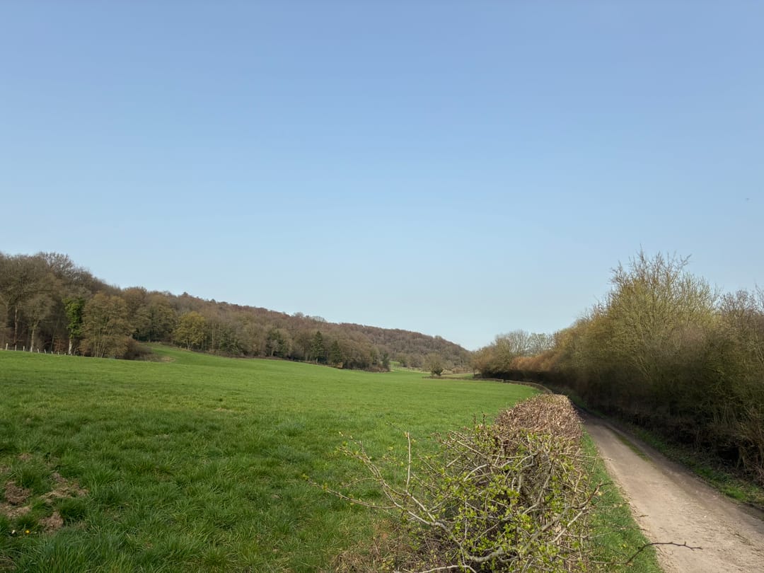 Foto 7 van Dal Bissenweg