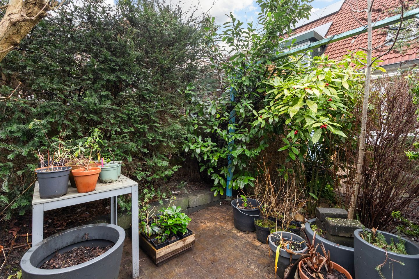 Foto 29 van Suze Groeneweg-erf 403