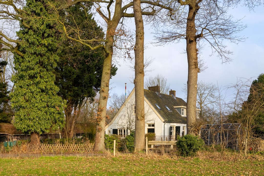 Photo 2 of Koningslaan 21