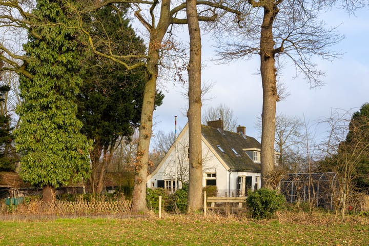 Foto 2 van Koningslaan 21