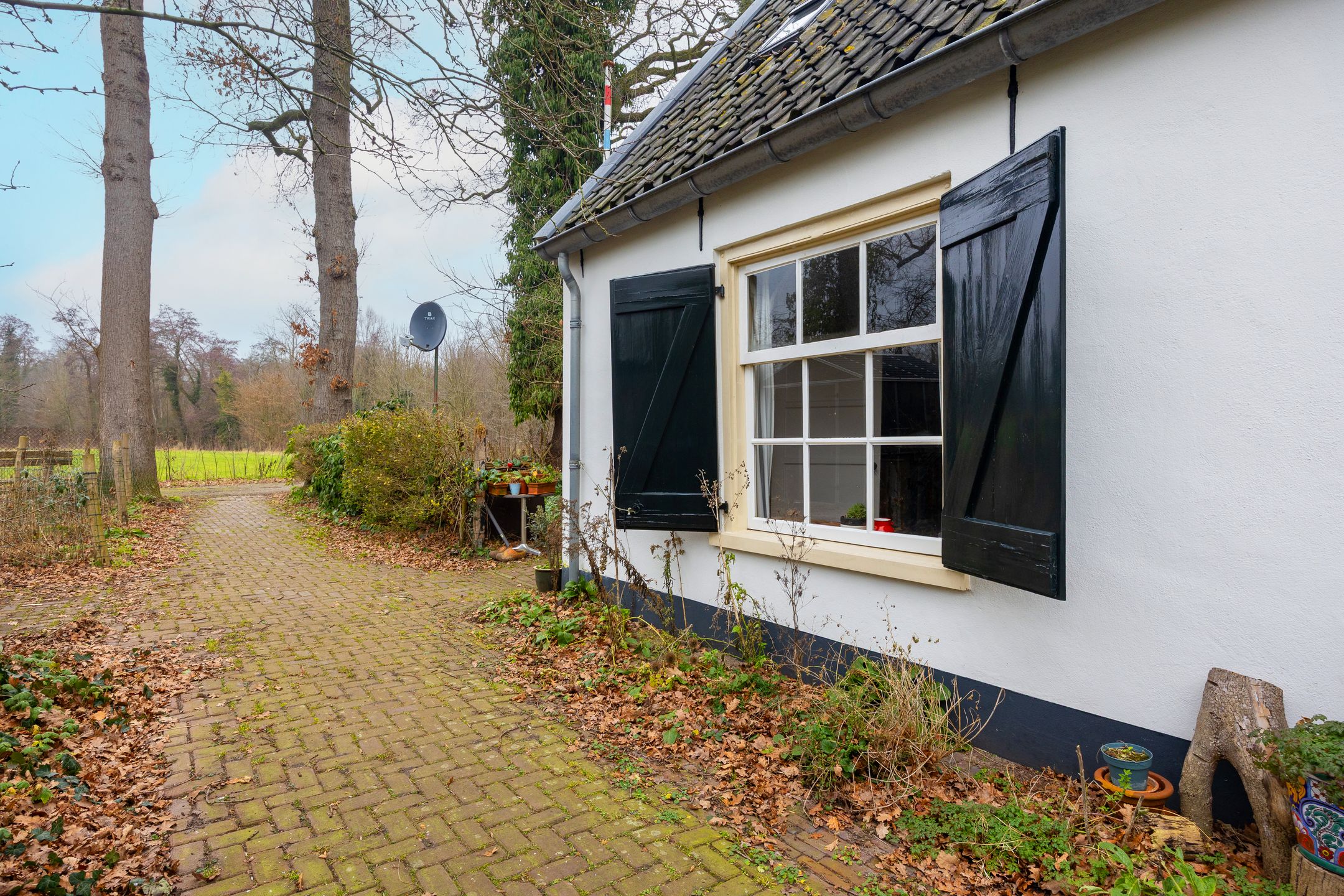 Photo 6 of Koningslaan 21