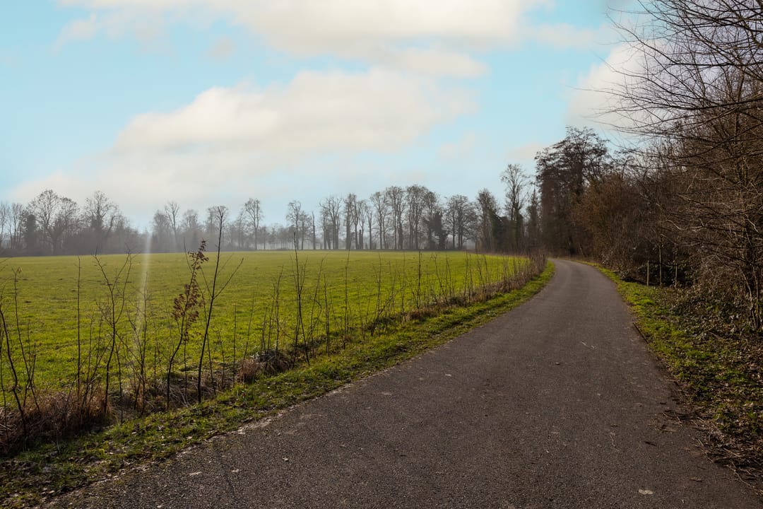 Photo 31 of Koningslaan 21