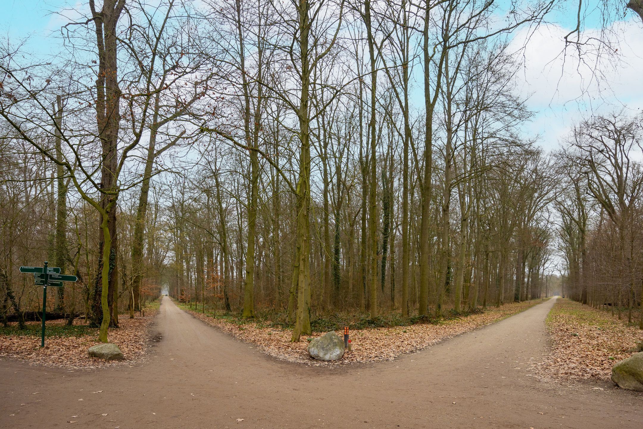 Photo 36 of Koningslaan 21