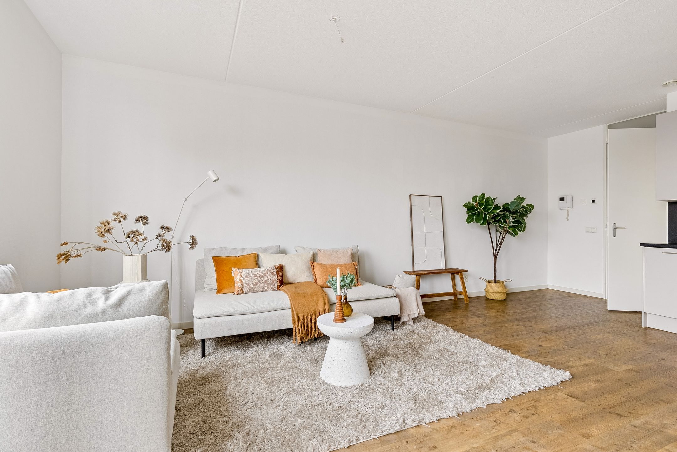 Foto 12 van San Marinostraat 45