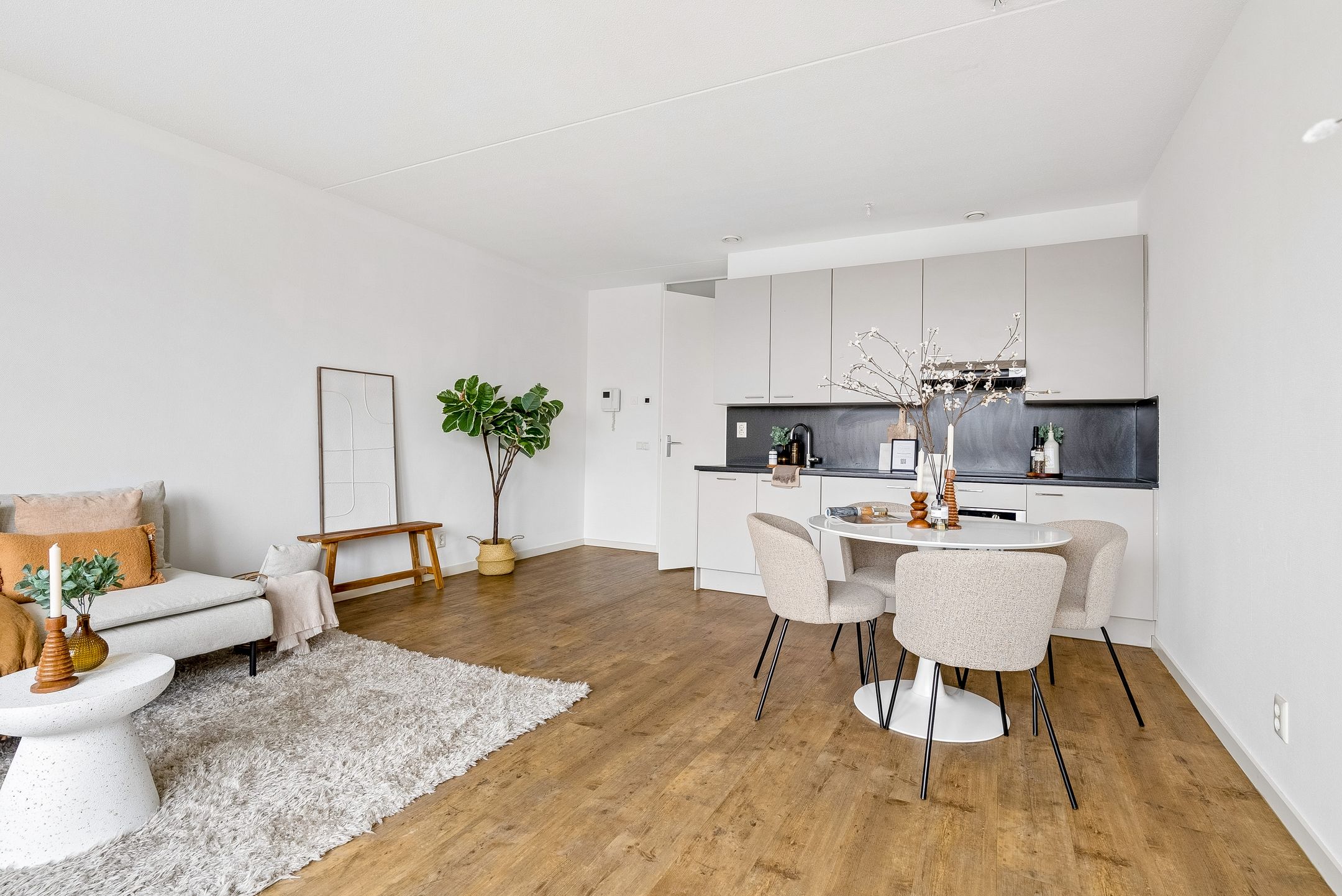 Foto 15 van San Marinostraat 45