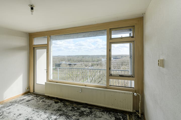 Foto 5 van Boerhaavelaan 177